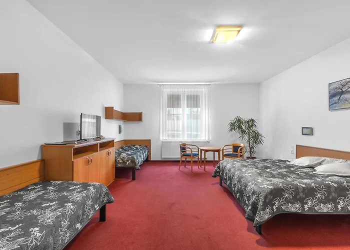 Hotel Za Vodou